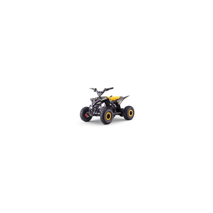 Kinderquad Elektro T-REX 1300W