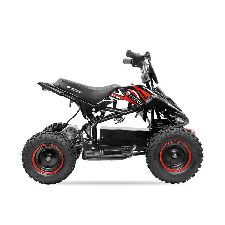 Kids electric quad Eco Phyton 36V 800W R6