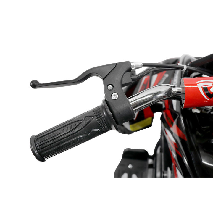 Quad elettrico bambini Eco Phyton 36V 800W R6