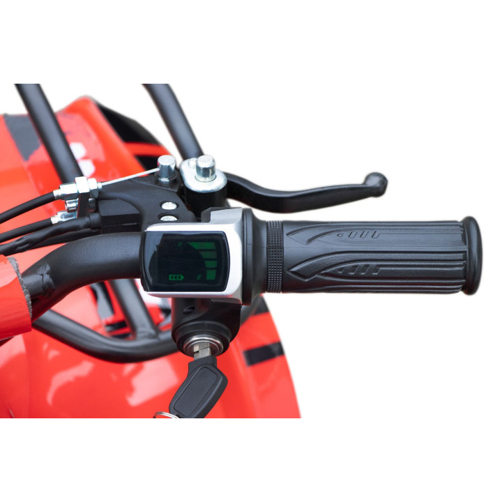 Kinderquad Elektro Eco Torino Basic 1000W 48V